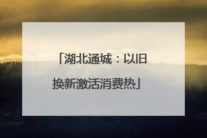 湖北通城：以旧换新激活消费热