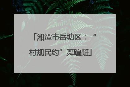 湘潭市岳塘区：“村规民约”舞蹁跹