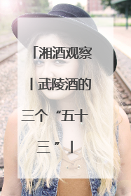 湘酒观察丨武陵酒的三个“五十三 ”