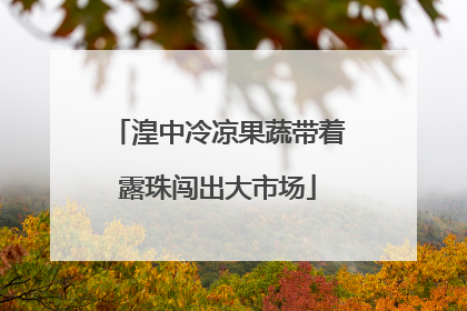湟中冷凉果蔬带着露珠闯出大市场