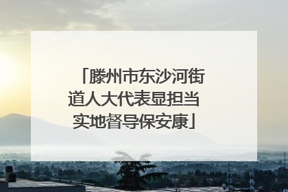 滕州市东沙河街道人大代表显担当实地督导保安康