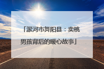 漯河市舞阳县：卖桃男孩背后的暖心故事