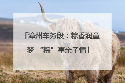 漳州车务段：粽香润童梦 “粽”享亲子情