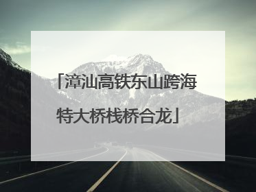 漳汕高铁东山跨海特大桥栈桥合龙