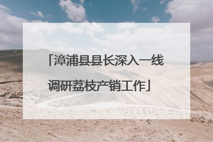 漳浦县县长深入一线调研荔枝产销工作