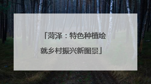 菏泽：特色种植绘就乡村振兴新图景