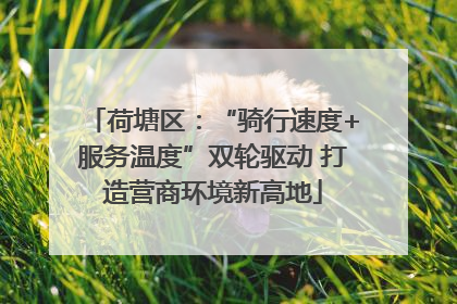 荷塘区：“骑行速度+服务温度”双轮驱动 打造营商环境新高地