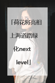 荷花将亮相 上海道路绿化next level