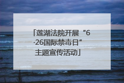 莲湖法院开展“6·26国际禁毒日”主题宣传活动