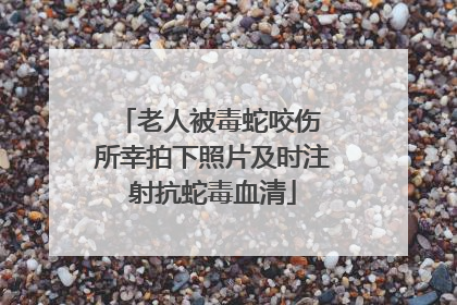 老人被毒蛇咬伤 所幸拍下照片及时注射抗蛇毒血清