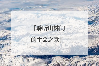 聆听山林间的生命之歌