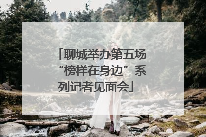 聊城举办第五场“榜样在身边”系列记者见面会