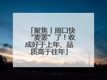 聚焦丨周口快“麦罢”了！收成好于上年、品质高于往年