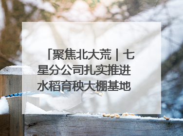 聚焦北大荒｜七星分公司扎实推进水稻育秧大棚基地清理整治工作
