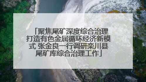 聚焦尾矿深度综合治理 打造有色金属循环经济新模式 张金良一行调研栾川县尾矿库综合治理工作