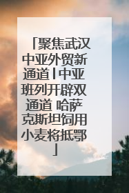 聚焦武汉中亚外贸新通道│中亚班列开辟双通道 哈萨克斯坦饲用小麦将抵鄂