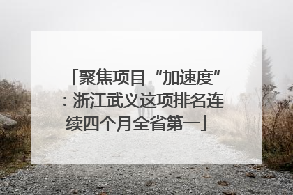 聚焦项目“加速度”：浙江武义这项排名连续四个月全省第一