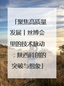 聚焦高质量发展丨丝博会里的技术脉动：陕西科创的突破与想象