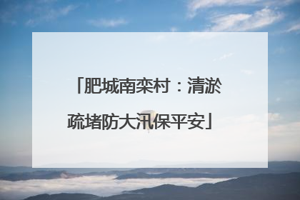 肥城南栾村：清淤疏堵防大汛保平安