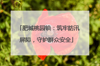 肥城桃园镇：筑牢防汛屏障，守护群众安全