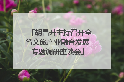 胡昌升主持召开全省文旅产业融合发展专题调研座谈会