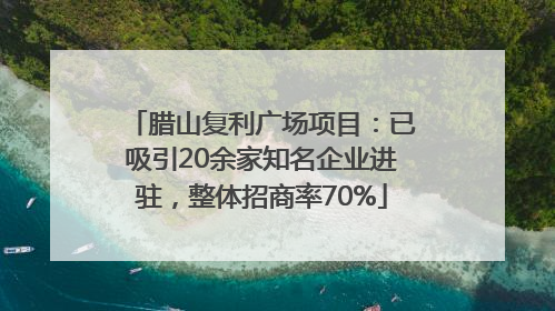 腊山复利广场项目：已吸引20余家知名企业进驻，整体招商率70%