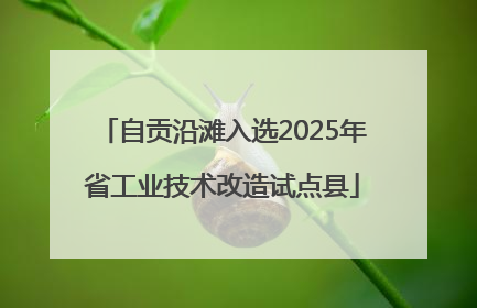 自贡沿滩入选2025年省工业技术改造试点县