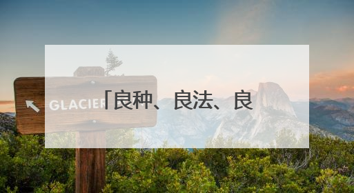 良种、良法、良机护航夏粮丰收 居民“菜篮子”“果盘子”满满“科技范儿”
