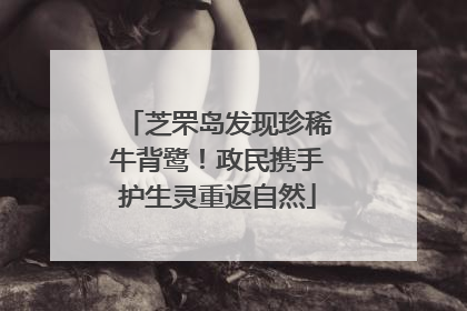 芝罘岛发现珍稀牛背鹭！政民携手护生灵重返自然