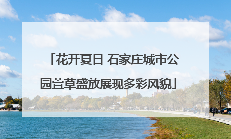花开夏日 石家庄城市公园萱草盛放展现多彩风貌