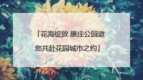 花海绽放 康庄公园邀您共赴花园城市之约