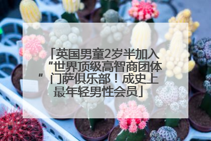 英国男童2岁半加入“世界顶级高智商团体”门萨俱乐部！成史上最年轻男性会员