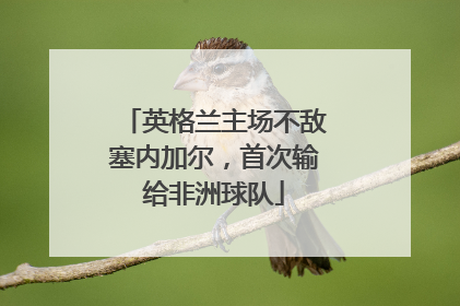 英格兰主场不敌塞内加尔，首次输给非洲球队