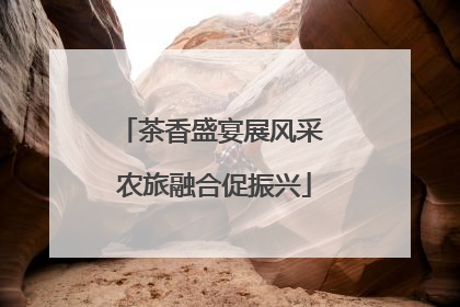 茶香盛宴展风采 农旅融合促振兴