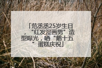 范丞丞25岁生日，“红发漫画男”造型曝光，晒“鹅十五”蛋糕庆祝