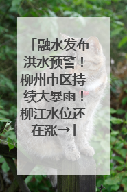 融水发布洪水预警！柳州市区持续大暴雨！柳江水位还在涨→