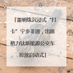 董明珠沉浸式“打卡”宁乡非遗，出席格力钛新能源公交车投放启动式