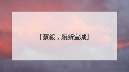 蔡毅，履新宣城