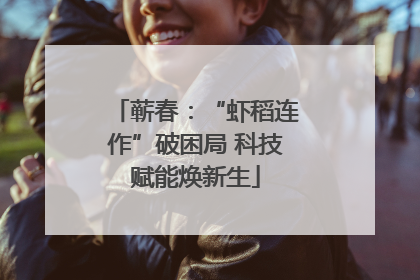 蕲春：“虾稻连作”破困局 科技赋能焕新生