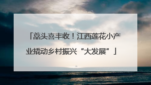 藠头喜丰收！江西莲花小产业撬动乡村振兴“大发展”
