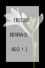 虹口区排球协会成立！