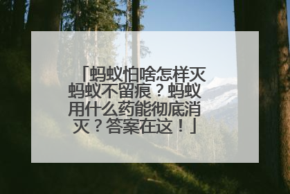 蚂蚁怕啥怎样灭蚂蚁不留痕？蚂蚁用什么药能彻底消灭？答案在这！