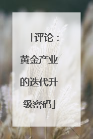 评论：黄金产业的迭代升级密码