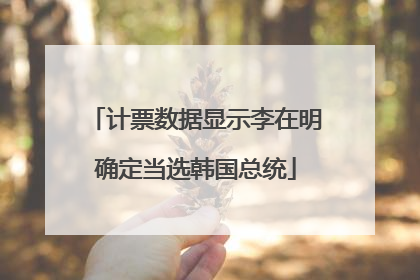 计票数据显示李在明确定当选韩国总统