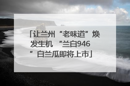 让兰州“老味道”焕发生机 “兰白946”白兰瓜即将上市