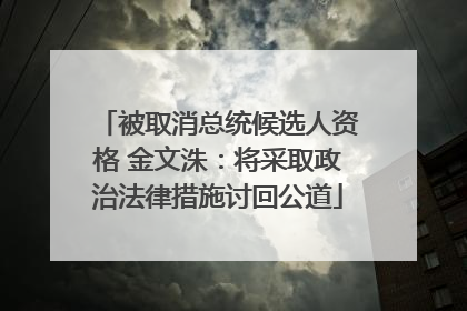 被取消总统候选人资格 金文洙：将采取政治法律措施讨回公道