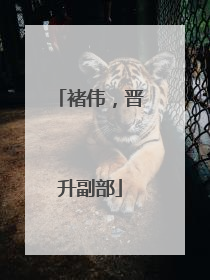 褚伟，晋升副部