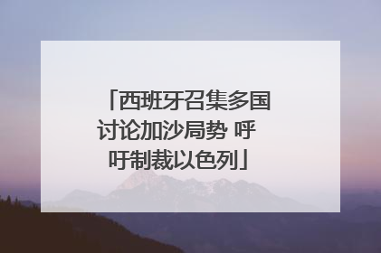 西班牙召集多国讨论加沙局势 呼吁制裁以色列