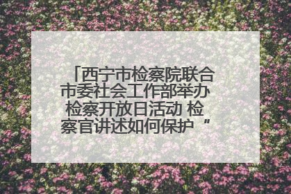 西宁市检察院联合市委社会工作部举办检察开放日活动 检察官讲述如何保护“少年的你”