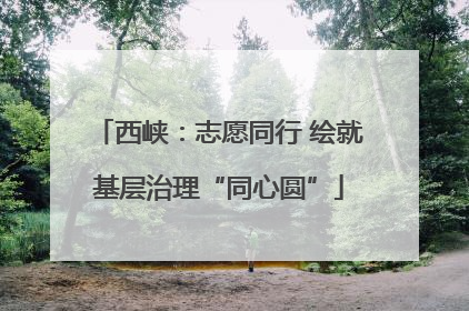 西峡：志愿同行 绘就基层治理“同心圆”